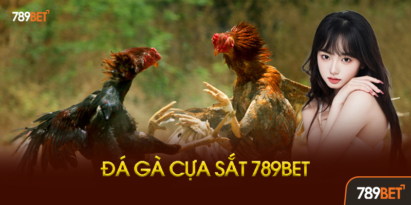 Đá Gà Cựa Sắt Là Gì? Khác Gì Với Đá Gà Thường?