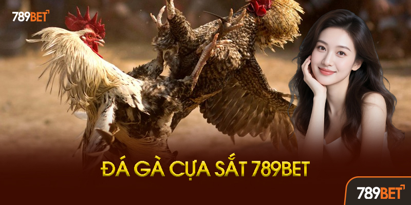 Lịch Thi Đấu Và Trường Gà Đá Gà Cựa Sắt 789BET